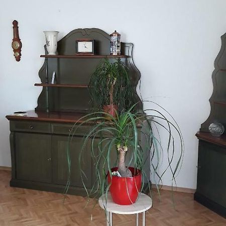 5 Gartenstrasse アンガーミュンデ エクステリア 写真